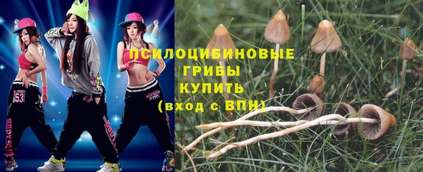 мяу мяу кристалл Дмитров